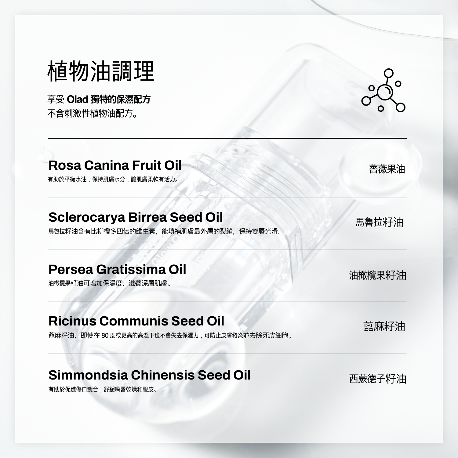 [Oiad x Ding 2+1套裝] Slayn Shake&Mix水感光彩唇釉 2支 + 玻璃光感唇油 1支(贈送唇釉殼*2+銀鏈*2)