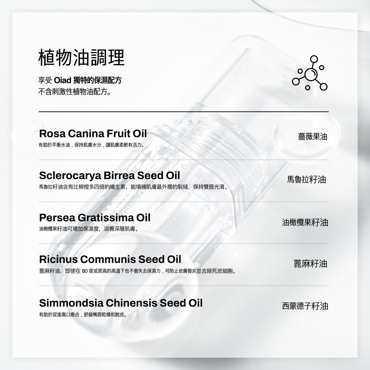 [1+1套裝] Slayn Powder Mixing Water Tint [Slayn Shake&Mix水感光彩唇釉] 1支 + Lip Glow Oil [玻璃光感唇油] 1支